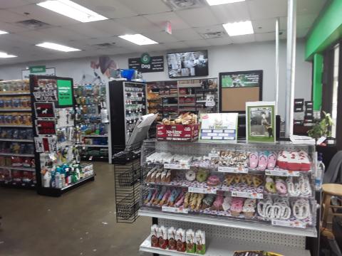 Pet Supplies Plus Palm Harbor | 3416 E Lake Rd S, Palm Harbor, FL 34685, USA | Phone: (727) 785-5555