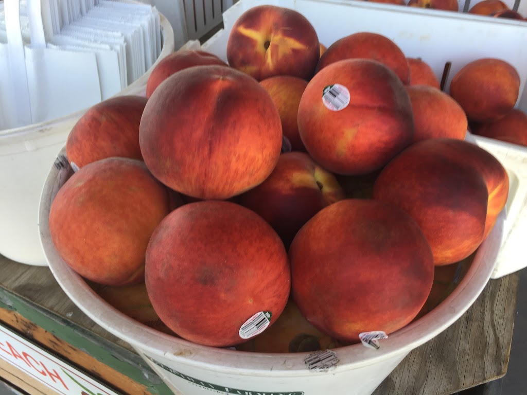 Blossom Trail Fruit Stand | 18501 E Kings Canyon Rd, Sanger, CA 93657, USA | Phone: (559) 787-3015 Blossom Trail Fruit Stand | 18501 E Kings Canyon Rd, Sanger, CA 93657, USA | Phone: (559) 787-3015