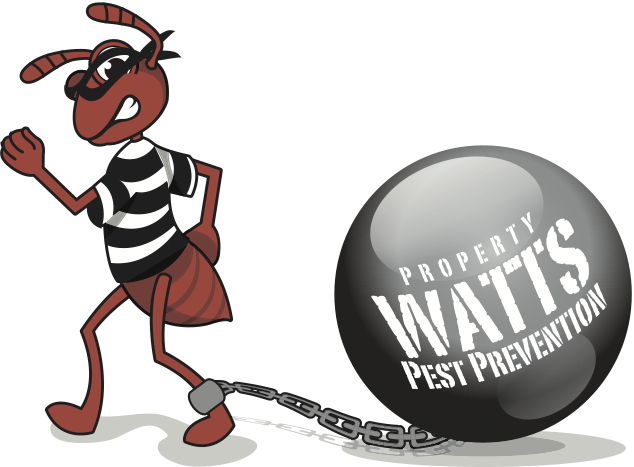 Watts Pest Prevention | 501 N Main St #2971, Florence, AZ 85132, USA | Phone: (520) 689-6314