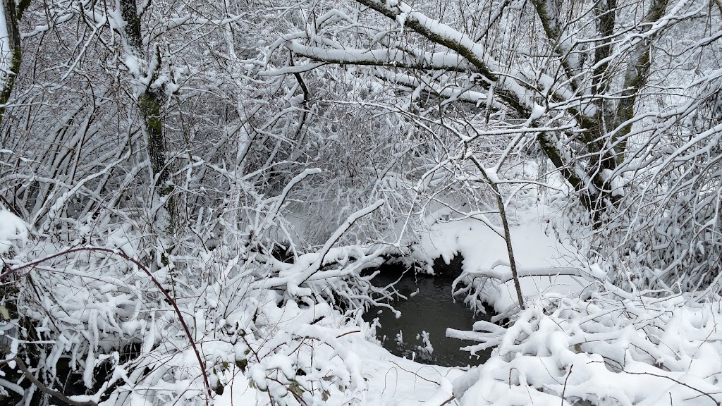 Davids Windsor Wetlands Natural Area | 12512 SW Sheldrake Way, Beaverton, OR 97007, USA | Phone: (503) 645-6433