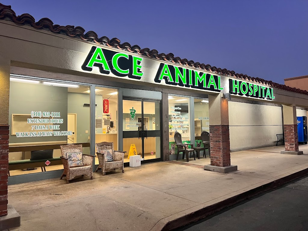 ACE Animal Hospital | 1450 W 25th St, San Pedro, CA 90732, USA | Phone: (310) 833-1111