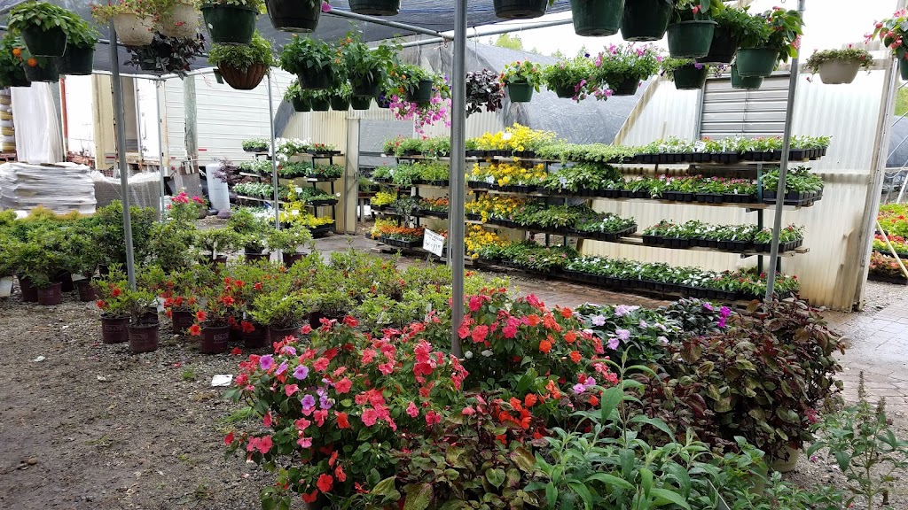 Elrod Garden Center | 260 Merchants Dr, Dallas, GA 30132, USA | Phone: (770) 445-8577