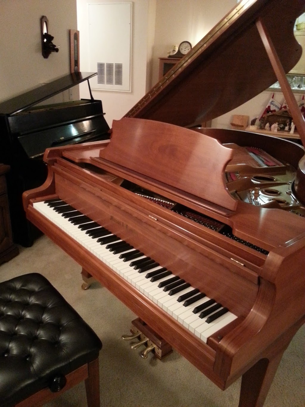 Traynor Piano and Voice | 6604 93rd St Apt. B, Overland Park, KS 66212, USA | Phone: (913) 649-2016