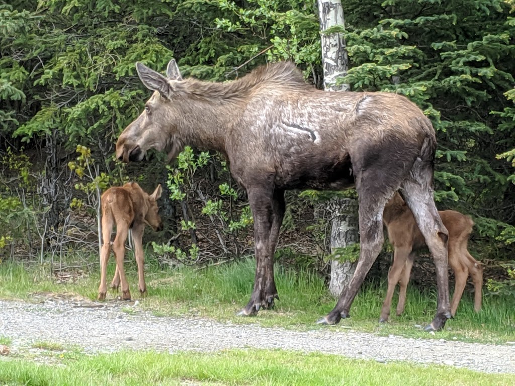 Hillside Park | 7011 Abbott Rd, Anchorage, AK 99507 | Phone: (907) 343-7529