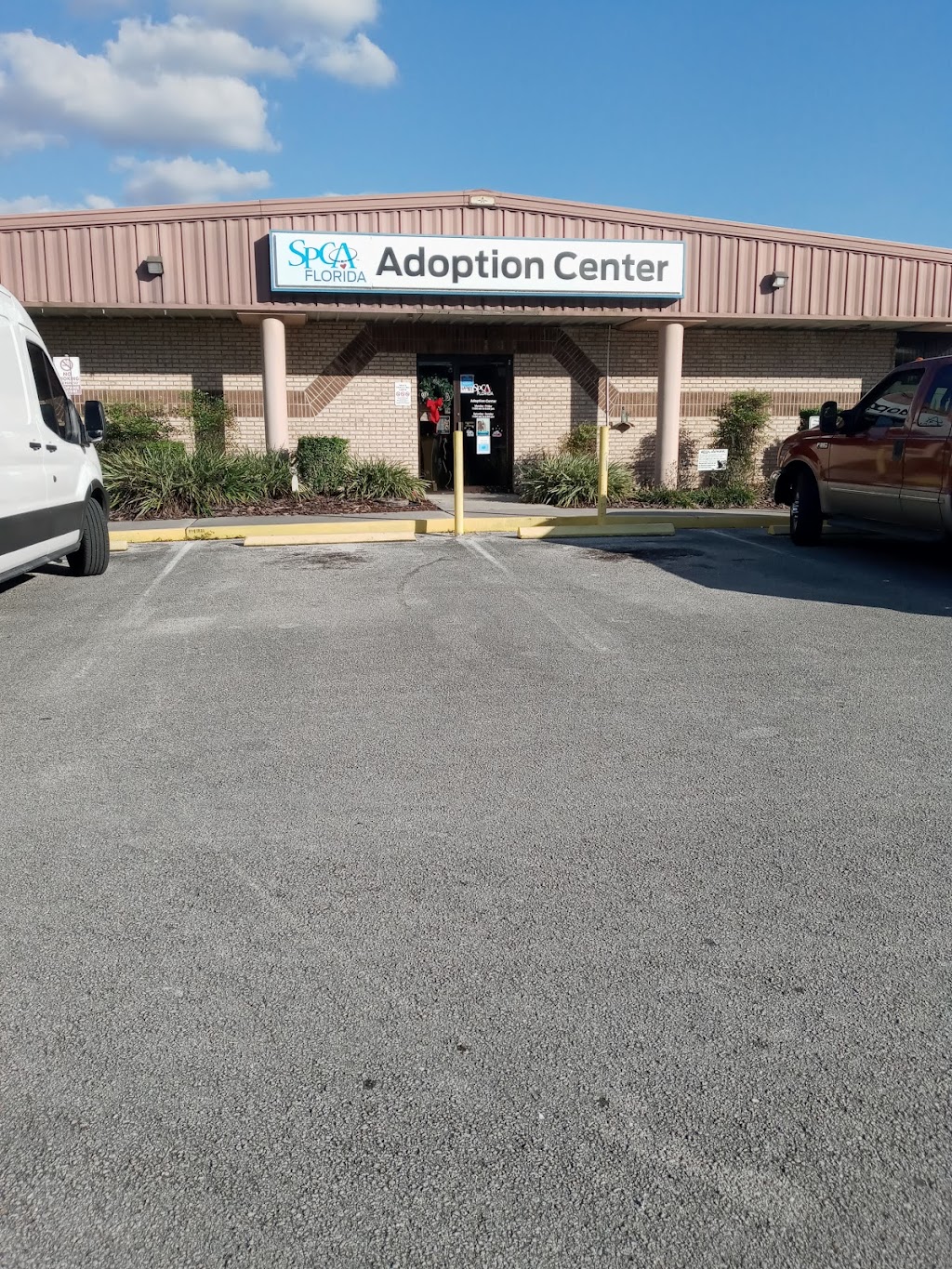 SPCA Florida Adoption Center | 5850 Brannen Rd S, Lakeland, FL 33813, USA | Phone: (863) 646-7722