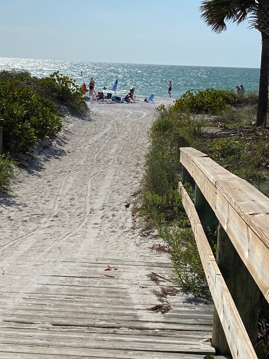 Indian Rocks Beach Nature Preserve | 903 Gulf Blvd, Indian Rocks Beach, FL 33785 | Phone: (727) 595-2517