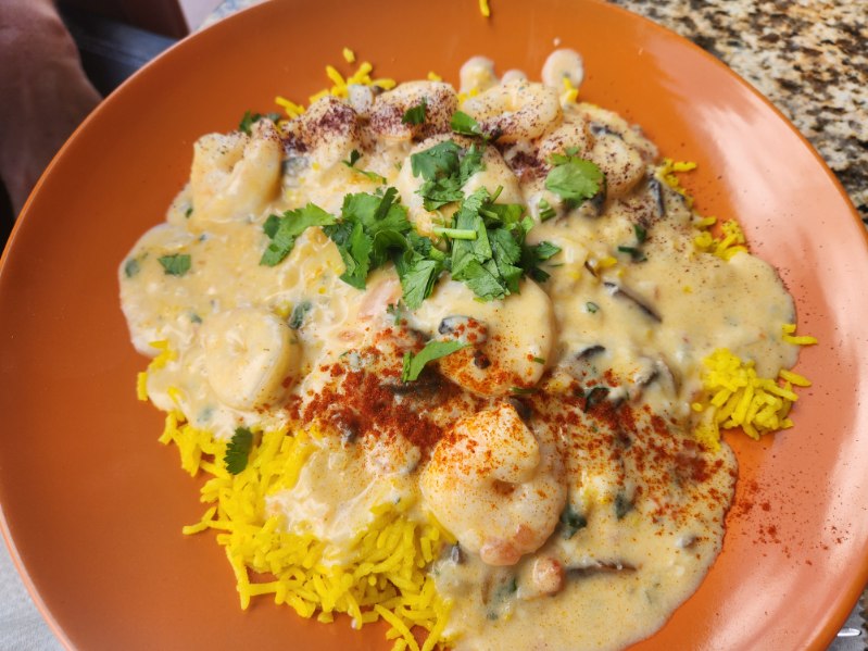 Tazza Turkish, Mediterranean Grill Tampa | 5001 E Fowler Ave D, Tampa, FL 33617, USA | Phone: (813) 980-6666
