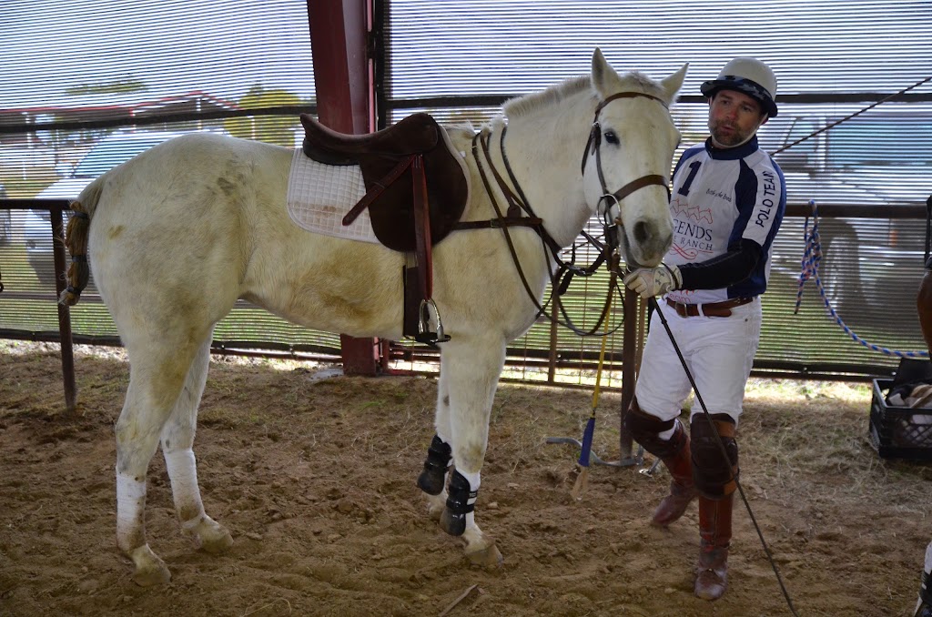 LEGENDS Horse Ranch | 3018 FM2578, Kaufman, TX 75142, USA | Phone: (903) 804-3001