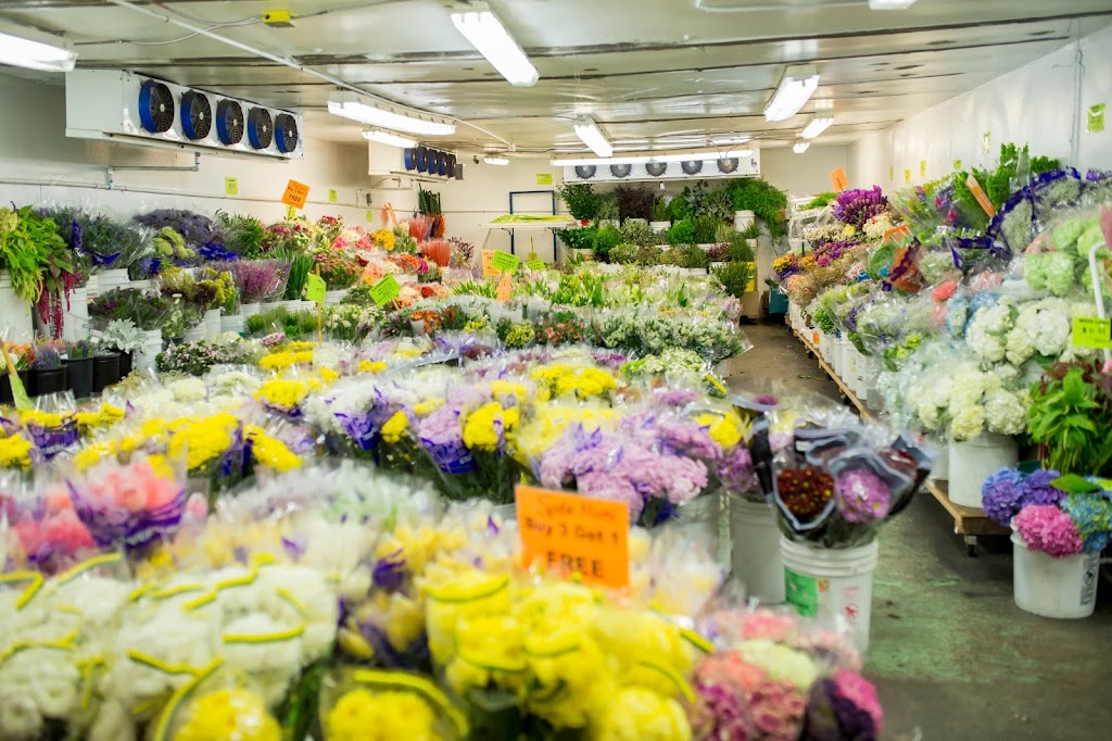 United Wholesale Flowers | 2350 Harris Way, San Jose, CA 95131, USA | Phone: (408) 277-0502