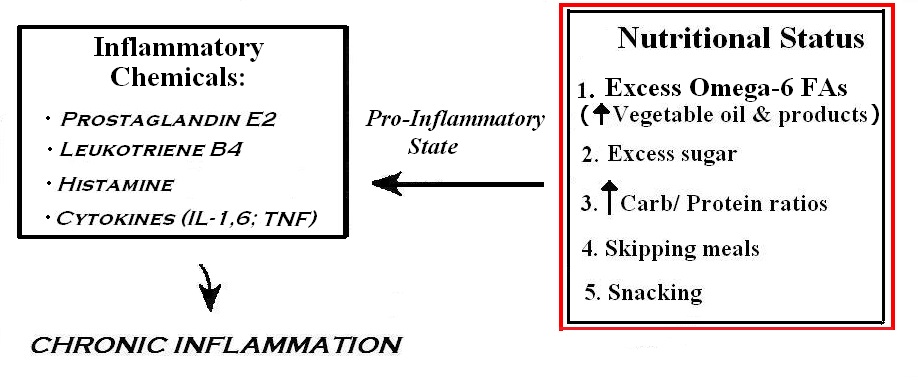 Inflamm-Aging DNP | 311 W Lemon St, Tarpon Springs, FL 34689, USA | Phone: (727) 619-2134