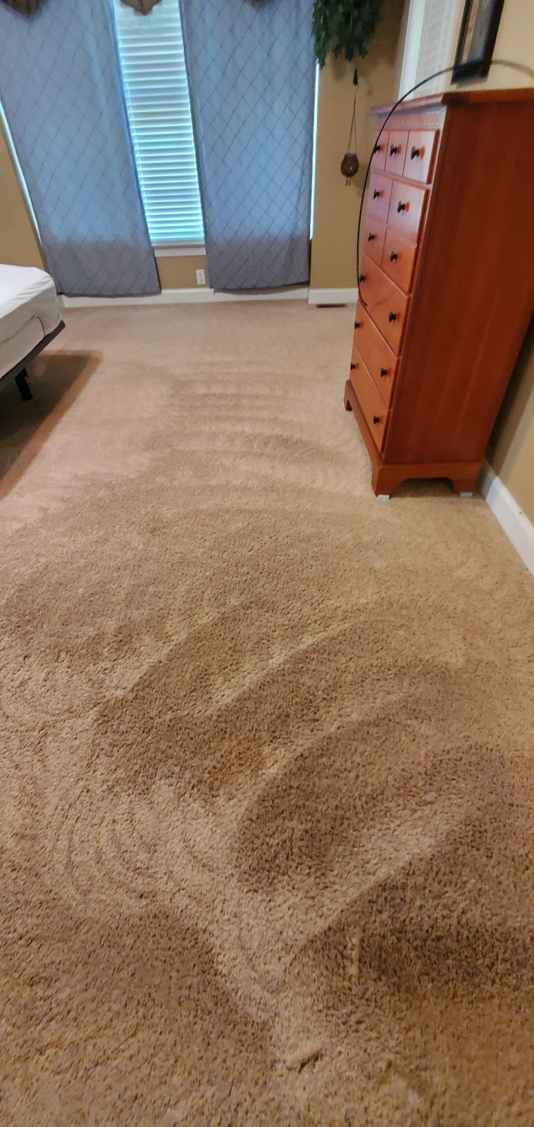 Carpet Pro Cleaners | 203 Colonial Townes Ct, Cary, NC 27511 | Phone: (919) 376-6055