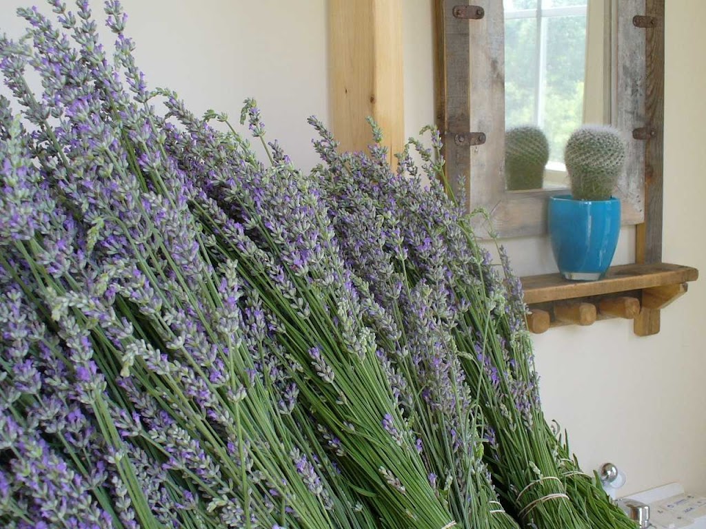 Lavender Road | 6175 Hickory Flat Hwy, Canton, GA 30115, USA | Phone: (404) 932-0422