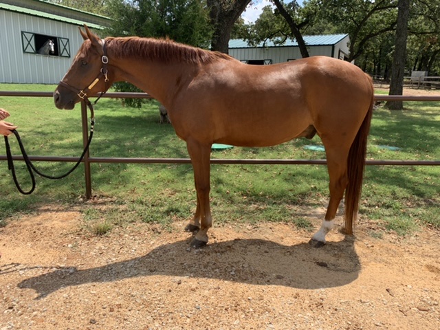 Homeward Farms | 5807 Pepperport Ln, Lewisville, TX 75022, USA | Phone: (817) 875-3520