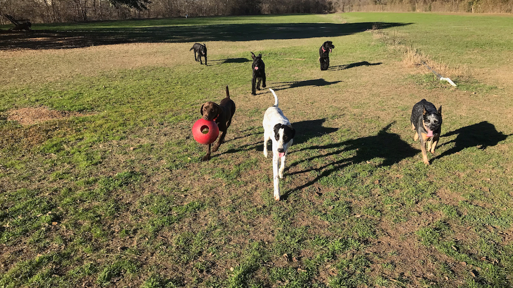 Big Oaks Kennel & Dog Park Co. | 500 Loop St, Buda, TX 78610, USA | Phone: (512) 312-0235