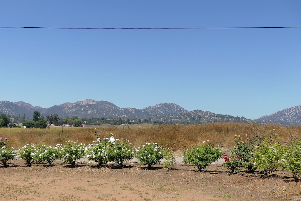 Rosary Garden | 3323 CA-67, Ramona, CA 92065, USA | Phone: (760) 533-5360