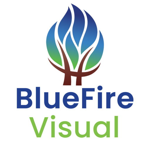 BlueFire Visual of Charlotte, NC | 2731 Interstate St, Charlotte, NC 28208, United States | Phone: (704) 655-1465