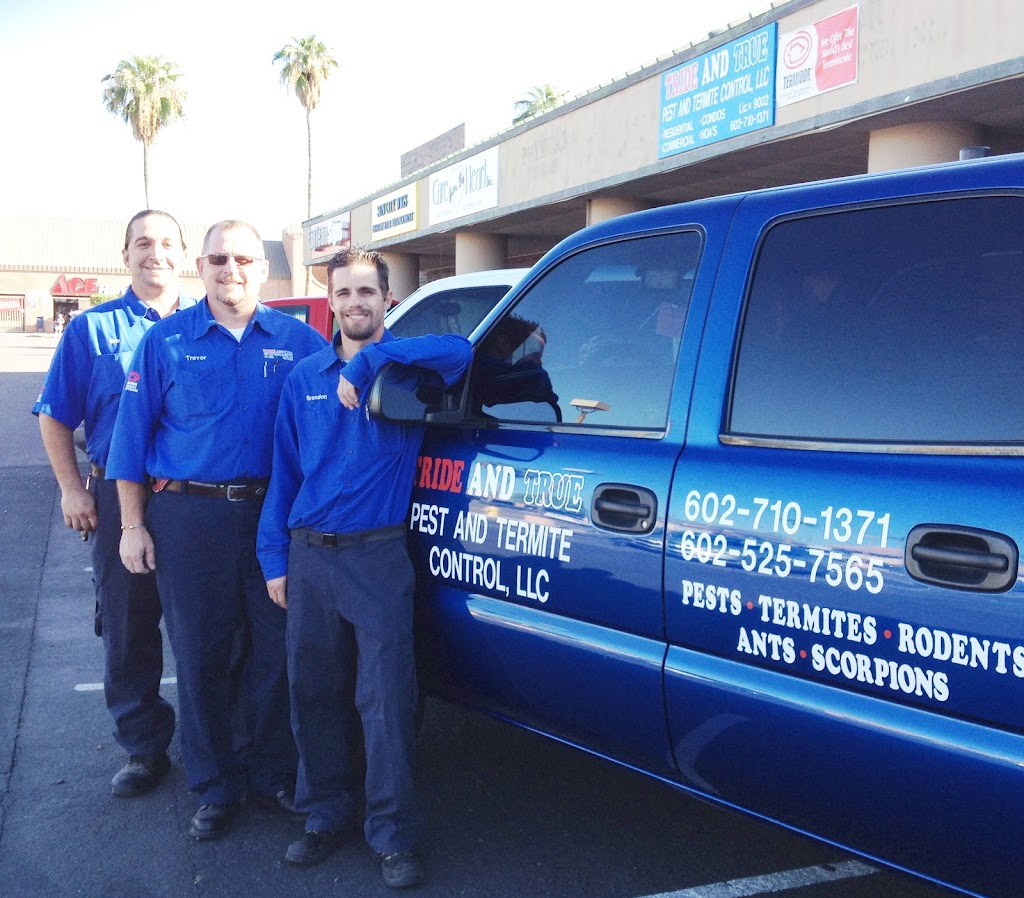 Tride and True Pest & Termite Control, LLC | 10404 W Coggins Dr #101, Sun City, AZ 85351, USA | Phone: (602) 710-1371