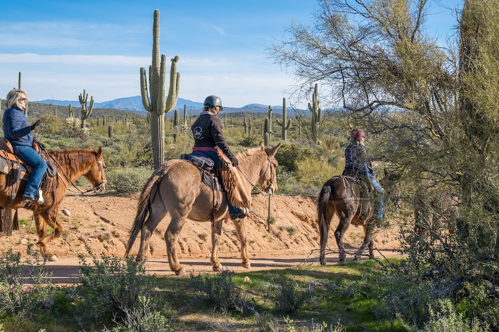 Ride Out Ranch | Florence, AZ 85132, USA | Phone: (480) 420-7339