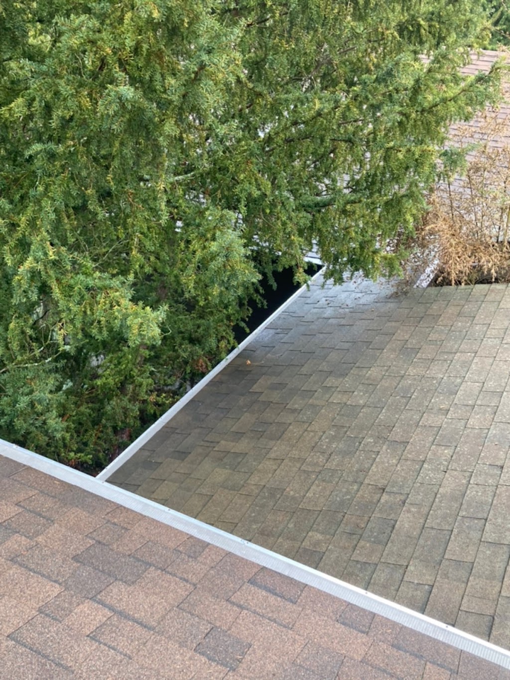 Great Gutters LLC | 4301 S 239th Pl, Kent, WA 98032, USA | Phone: (425) 518-3111