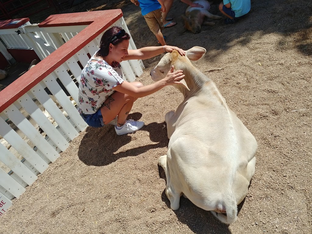 Belleview Petting Zoo | 5001 S Inca St, Englewood, CO 80110, USA | Phone: (303) 798-6927