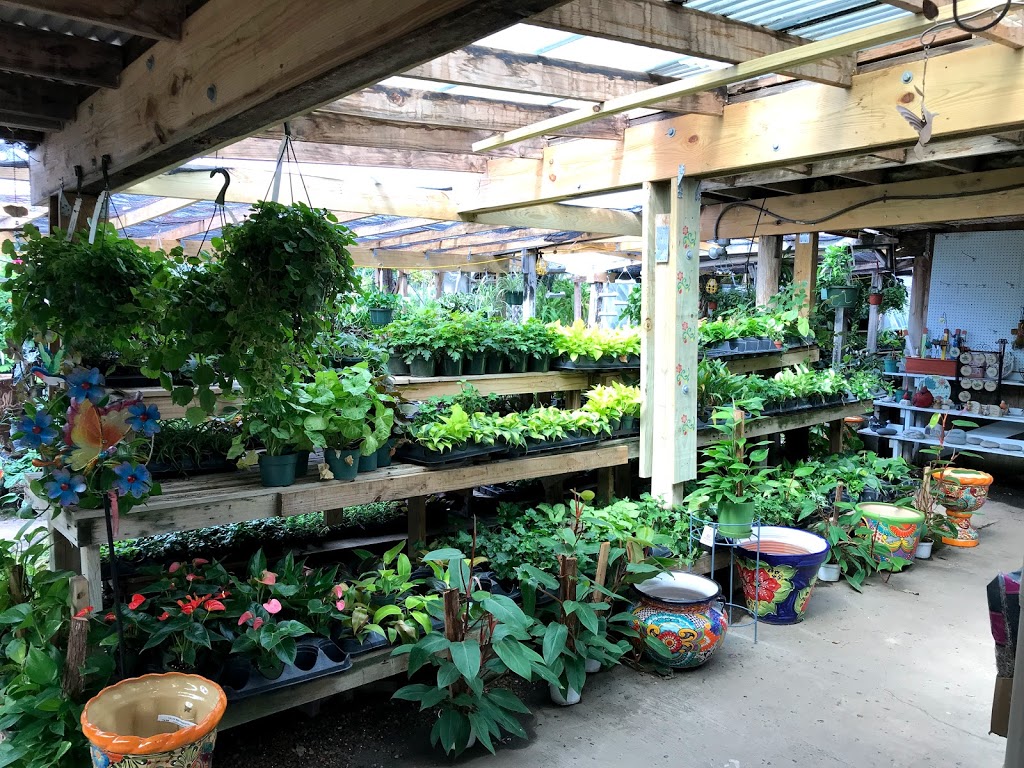 Turners Gardenland | 6503 S Padre Island Dr, Corpus Christi, TX 78412, USA | Phone: (361) 991-9002