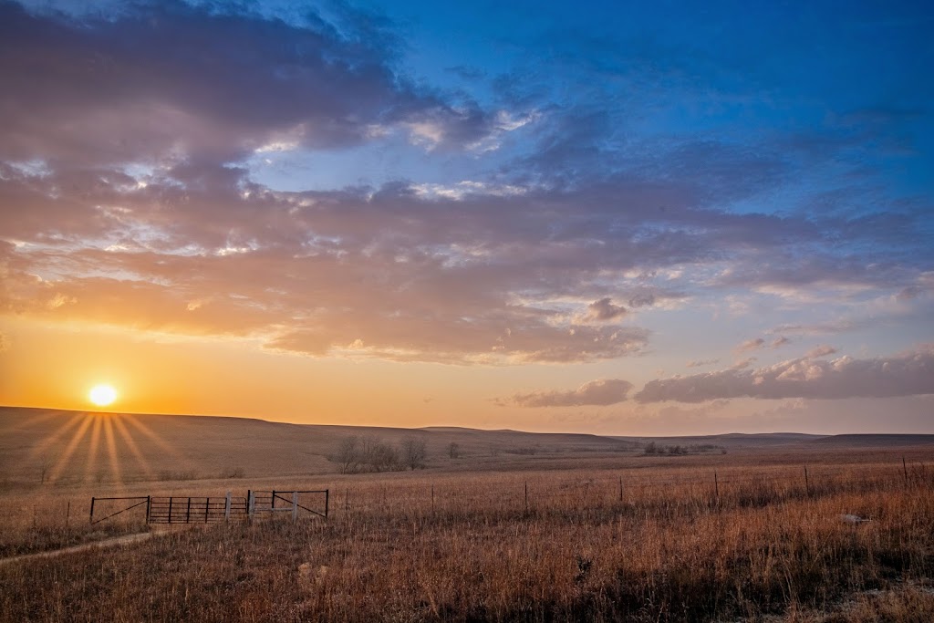 Fox Creek School | Strong City, KS 66869, USA | Phone: (620) 273-8494