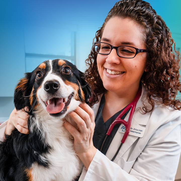 NewDay Veterinary Care | 15020 Brown Mill Rd, Huntersville, NC 28078, USA | Phone: (704) 885-5427