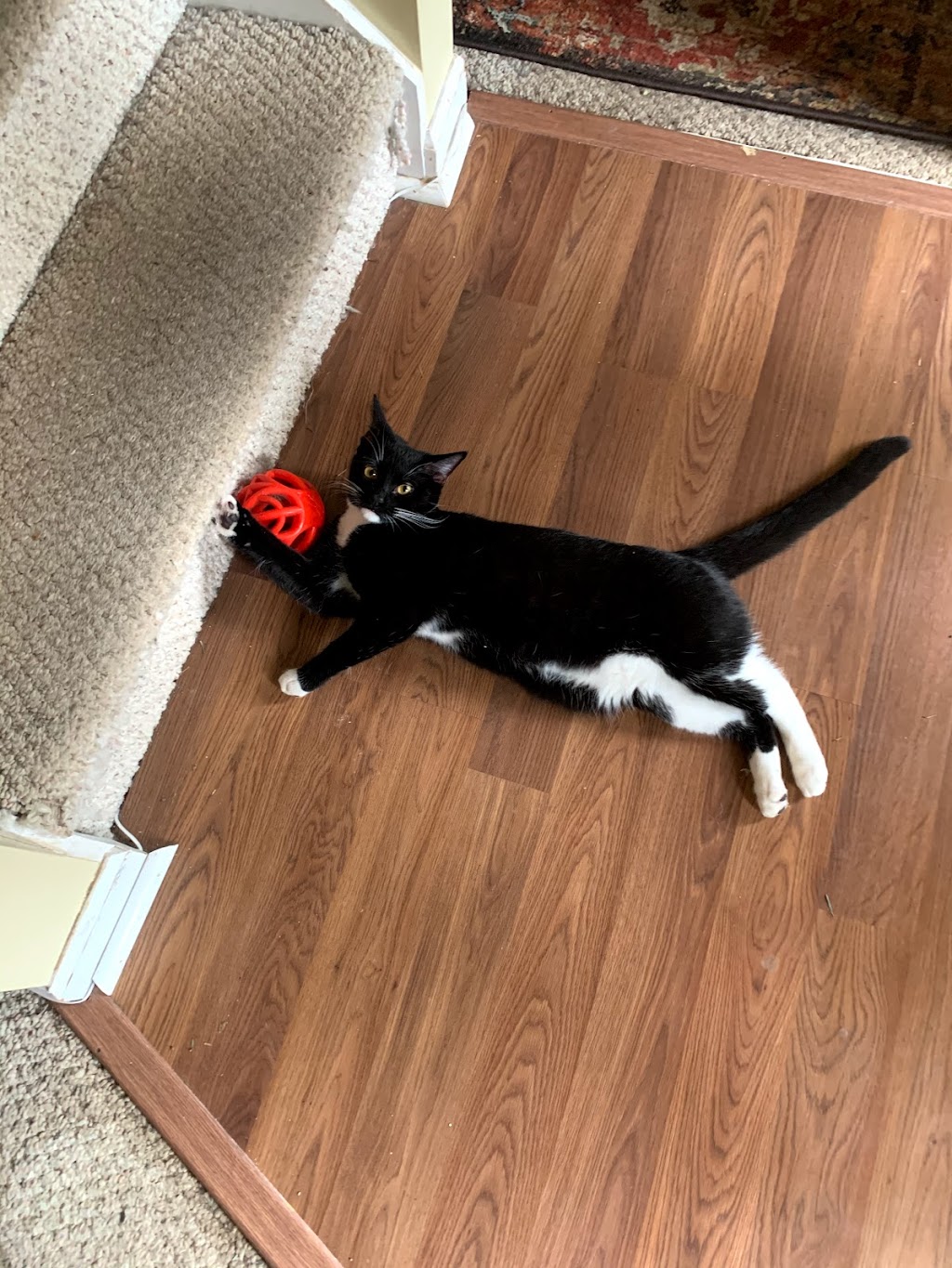 Gibbs Park | 16641 Graham St, Huntington Beach, CA 92649, USA | Phone: (714) 536-5486 Gibbs Park | 16641 Graham St, Huntington Beach, CA 92649, USA | Phone: (714) 536-5486