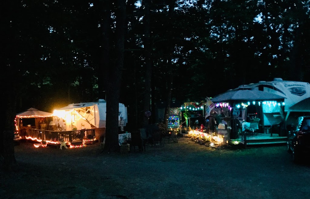 Treetopia Campground | 1446 Leeds Athens Rd, Catskill, NY 12414, USA | Phone: (518) 943-4513