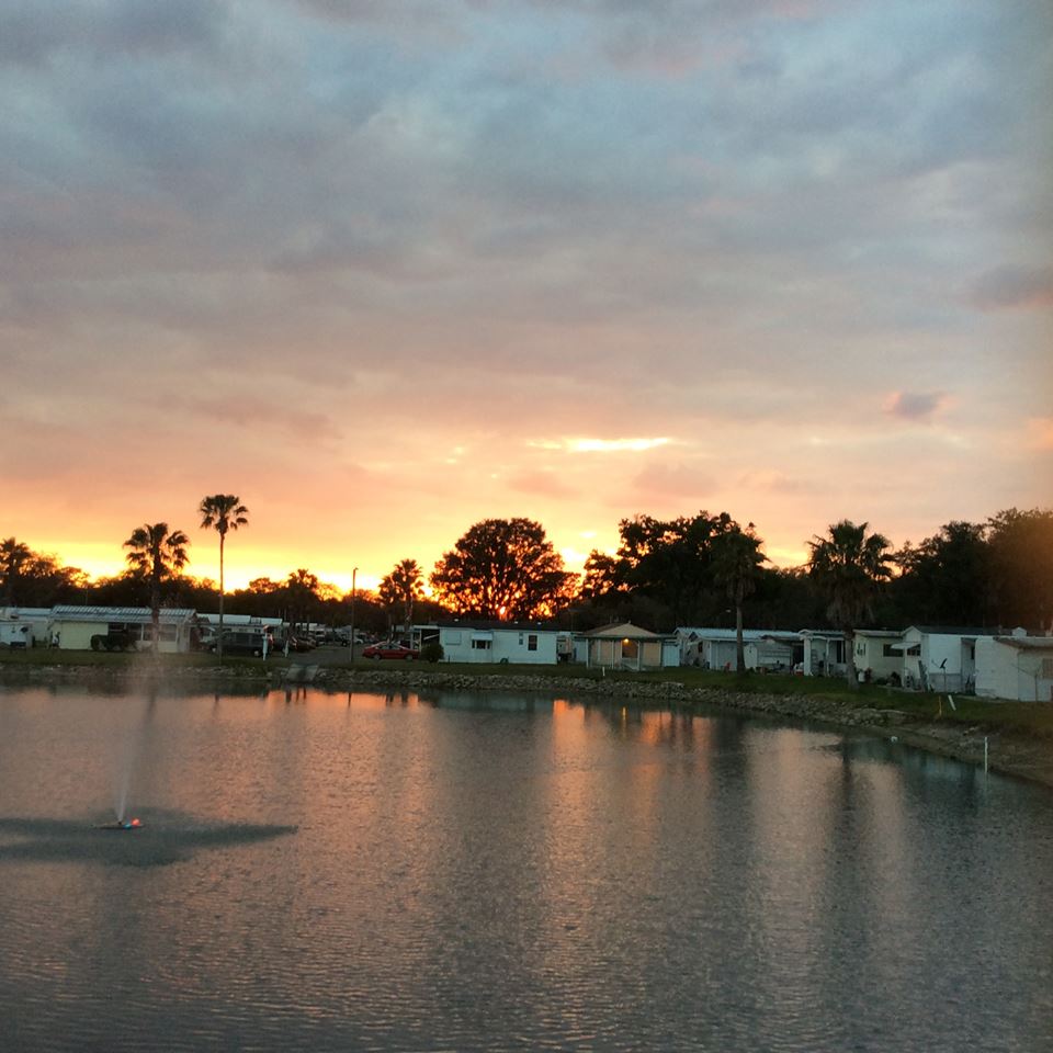 Palm View Gardens RV Resort | 3331 Gall Blvd #6800, Zephyrhills, FL 33541 | Phone: (813) 782-8685