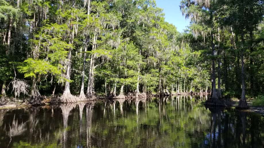 Marsh Landing Adventures / Orlando Airboat Tours | 2830 Neptune Rd, Kissimmee, FL 34744, USA | Phone: (407) 572-3561