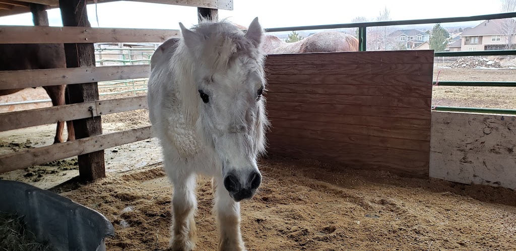 Idaho Equine Hospital | 16080 Equine Dr, Nampa, ID 83687, USA | Phone: (208) 466-4613