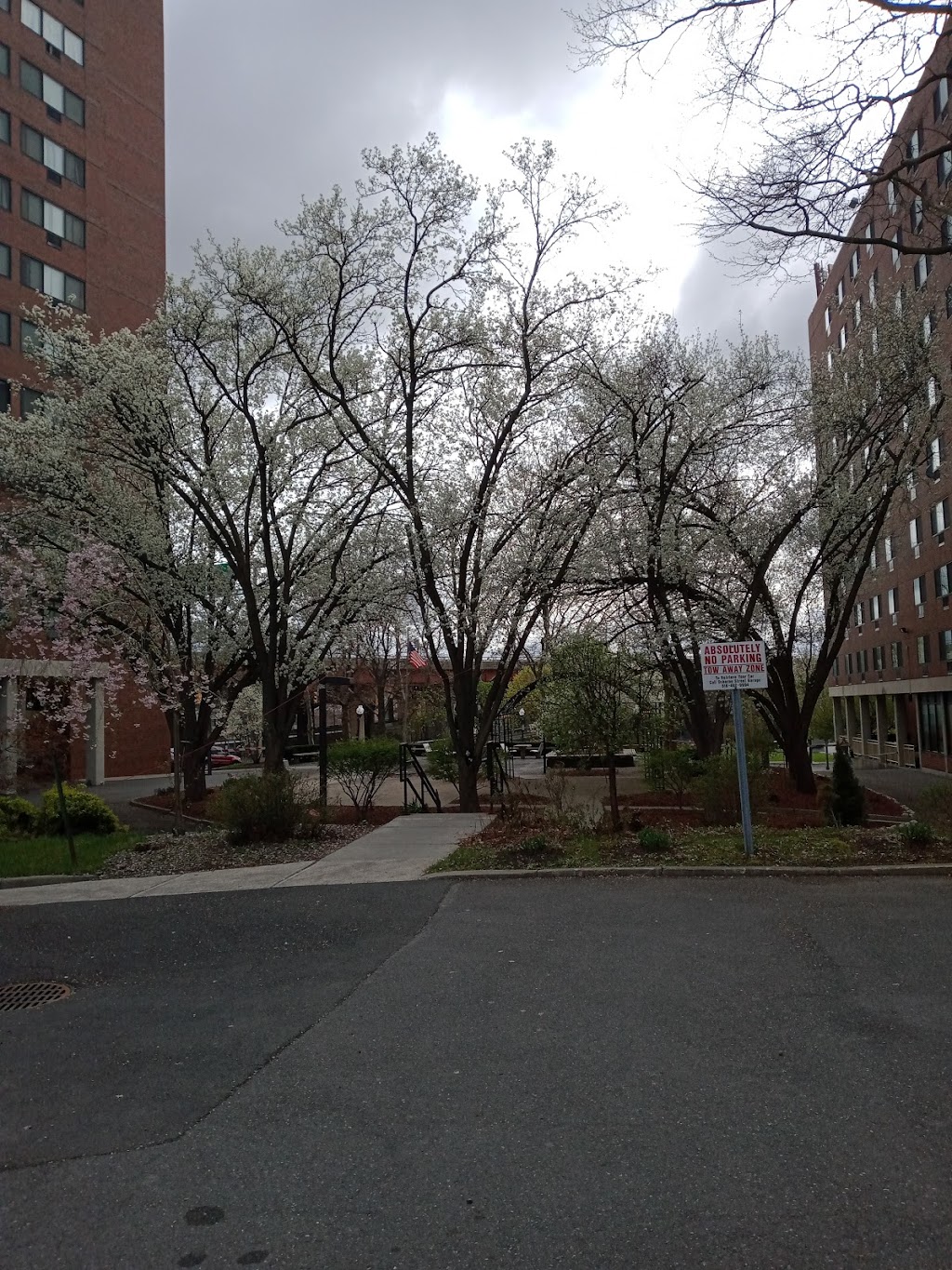 South Mall Towers Apartments | 101 S Pearl St, Albany, NY 12207, USA | Phone: (518) 463-0294