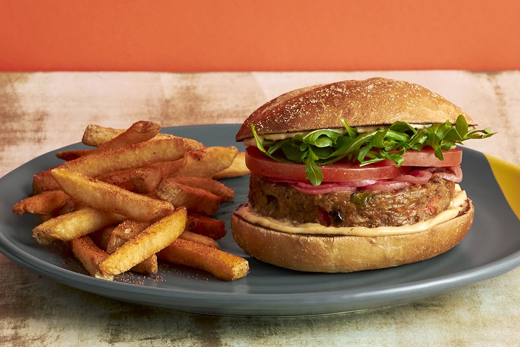 Or Chadash Conservative Synagogue | 6629 Massey Ln, Memphis, TN 38120, USA | Phone: (901) 435-6353 Or Chadash Conservative Synagogue | 6629 Massey Ln, Memphis, TN 38120, USA | Phone: (901) 435-6353