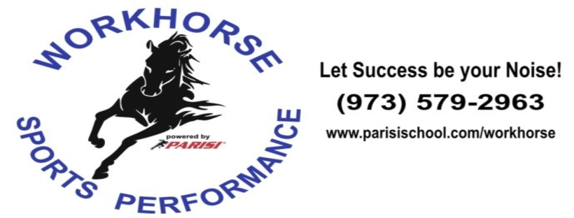 Workhorse Sports Performance | 540 Lafayette Rd, Sparta Township, NJ 07871, USA | Phone: (973) 579-2963