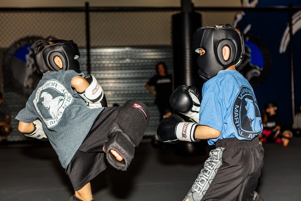 Warrior Martial Arts Academy | 6840 Virginia Pkwy STE 145, McKinney, TX 75071, USA | Phone: (469) 500-6198