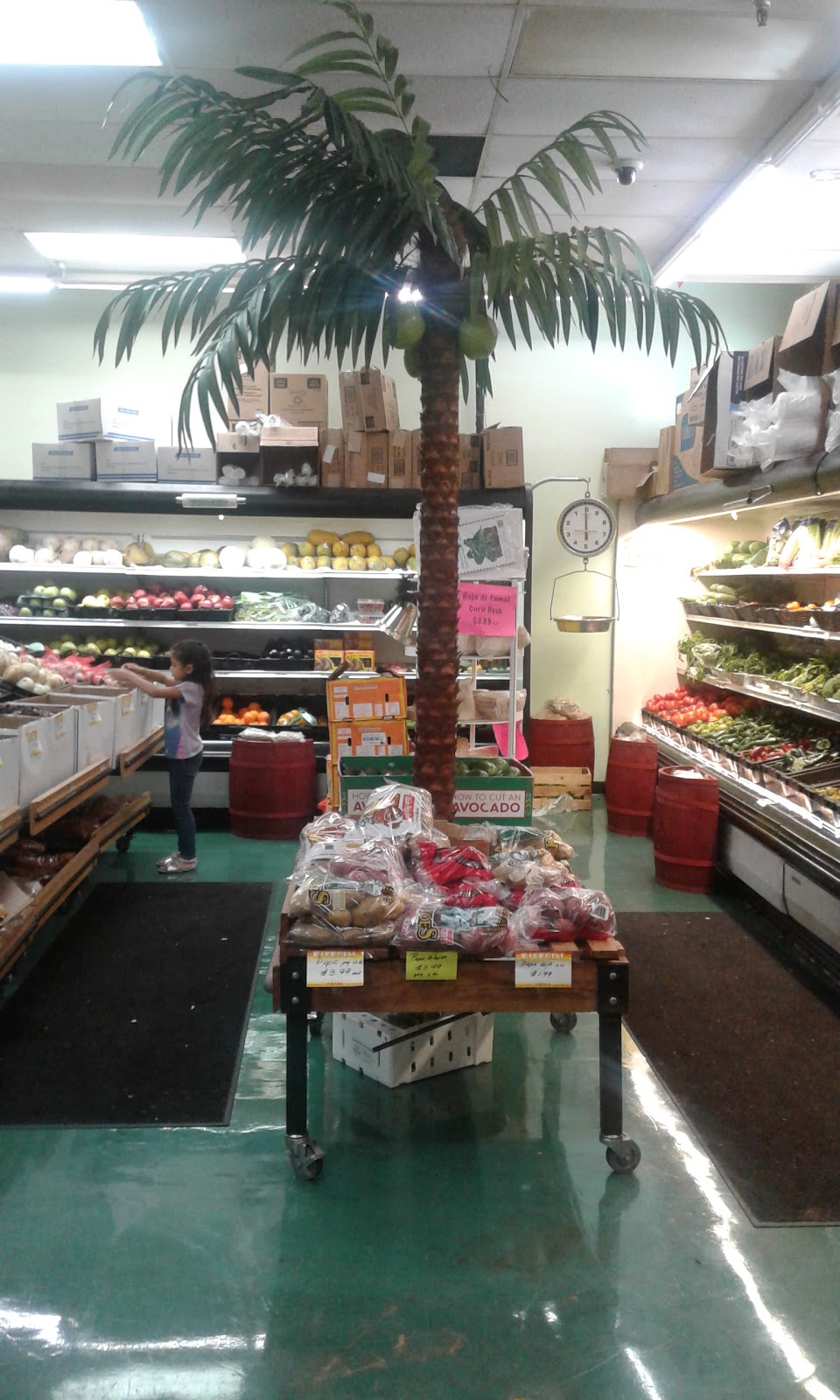 Acapulco Tropical Supermarket | 3525 1st St, Bradenton, FL 34208, USA | Phone: (941) 744-1034