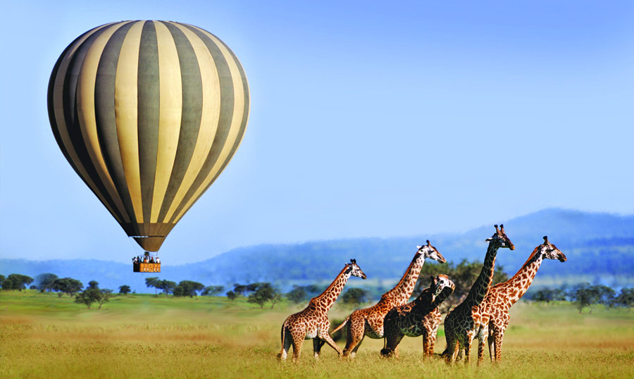 Transkibo travels/ safari adventures | 2500 N Houston St, Dallas, TX 75219, USA | Phone: (214) 586-4153