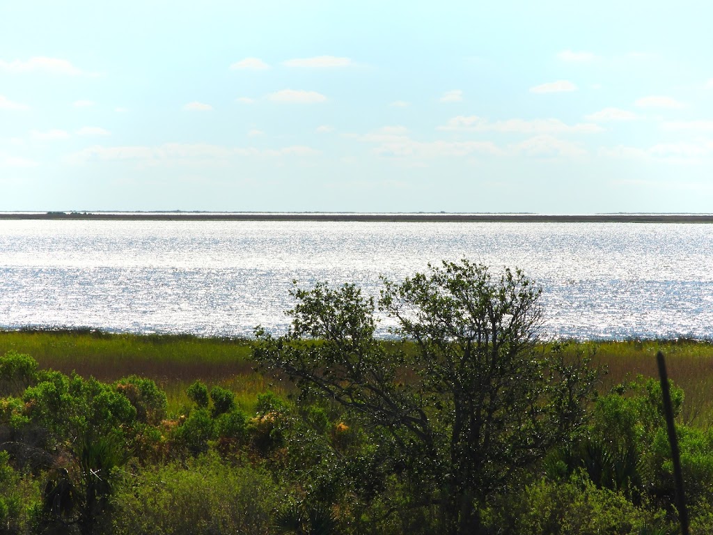 Harbor Light Marina | 8239 LA-56, Chauvin, LA 70344, USA | Phone: (985) 466-3167