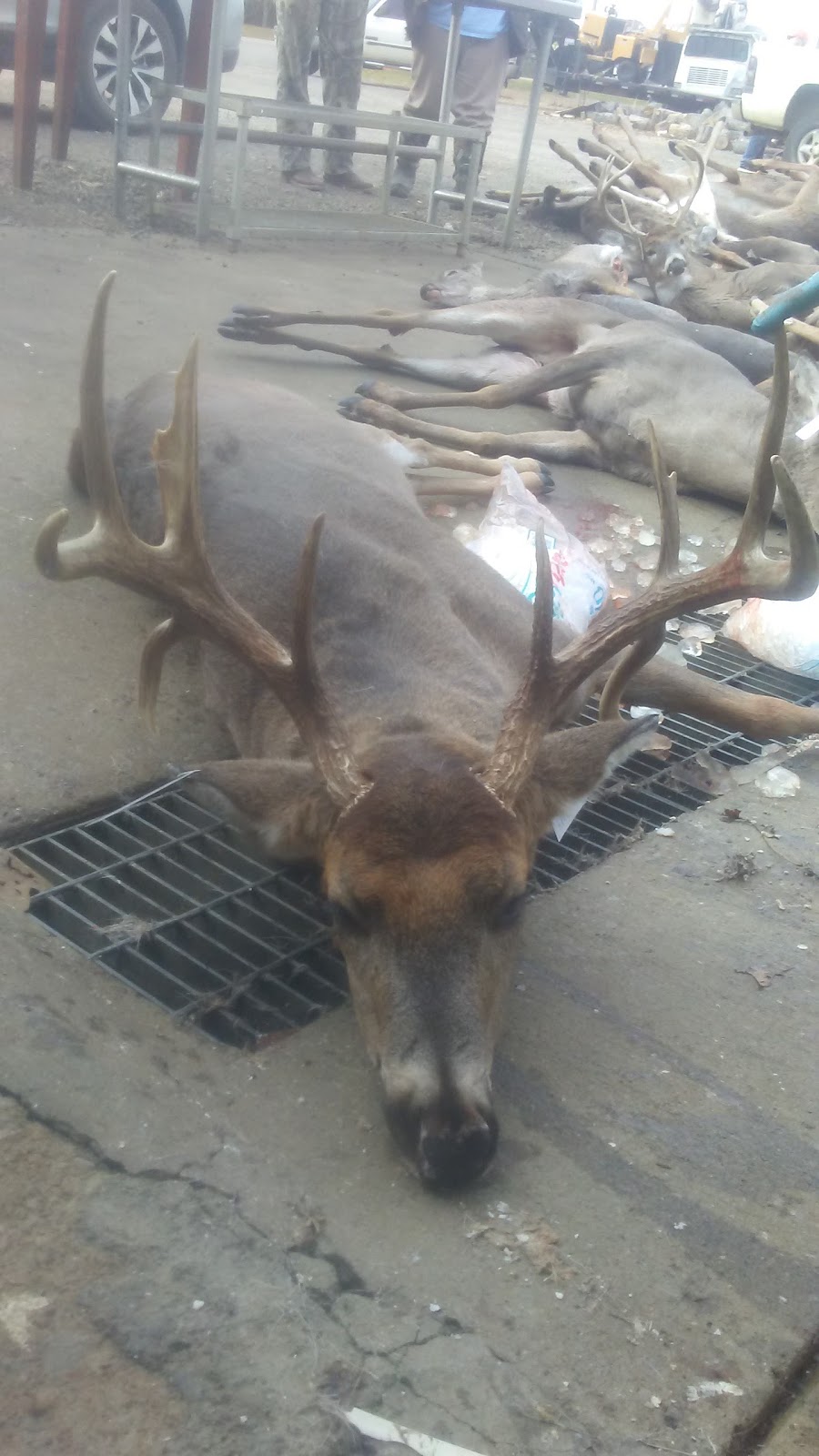 Vaughts Deer Processing | 7143 TN-100, Bon Aqua, TN 37025, USA | Phone: (931) 996-4121