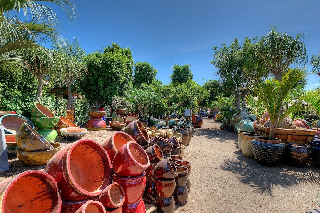 Moon Valley Nurseries | 8550 W Pinnacle Peak Rd, Peoria, AZ 85383, USA | Phone: (623) 242-5754 Moon Valley Nurseries | 8550 W Pinnacle Peak Rd, Peoria, AZ 85383, USA | Phone: (623) 242-5754