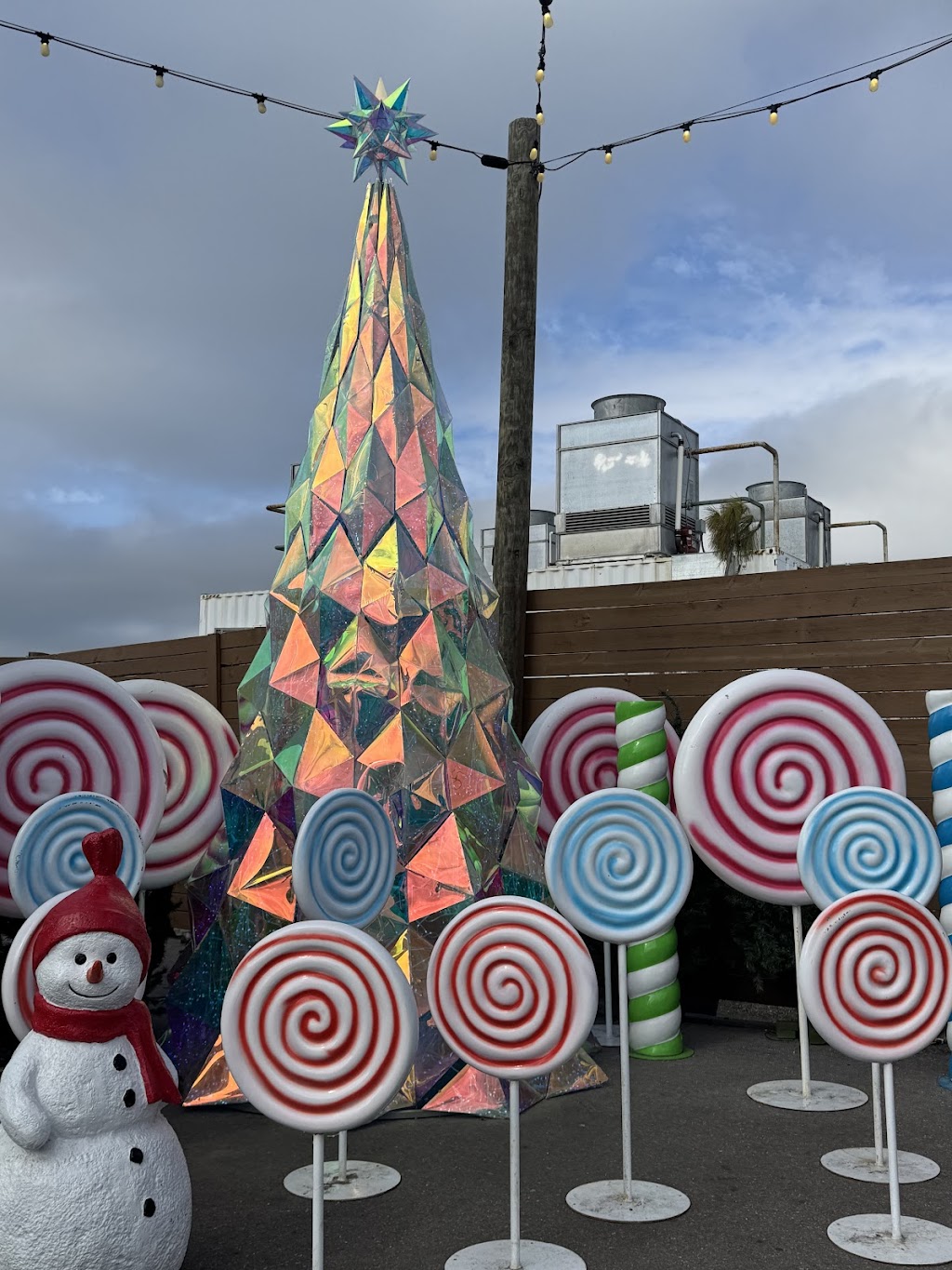 Snowcat Ridge | 27839 St Joe Rd, Dade City, FL 33525, USA | Phone: (813) 576-1450