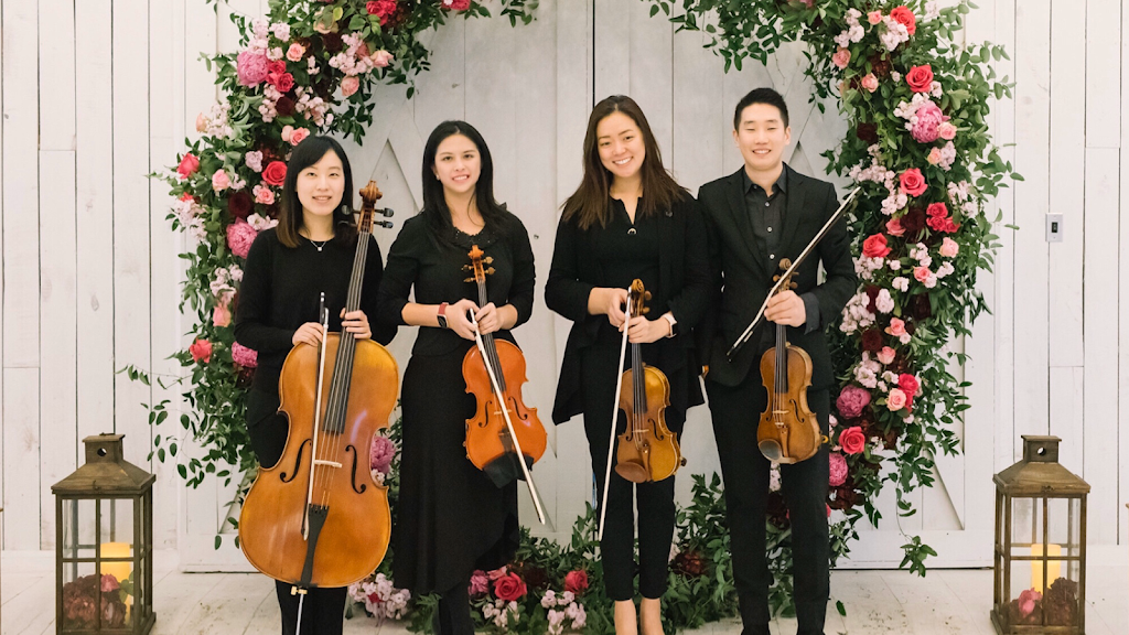 Dallas Asian Strings | 5701 Fairway Ct, McKinney, TX 75070, USA | Phone: (940) 312-2663