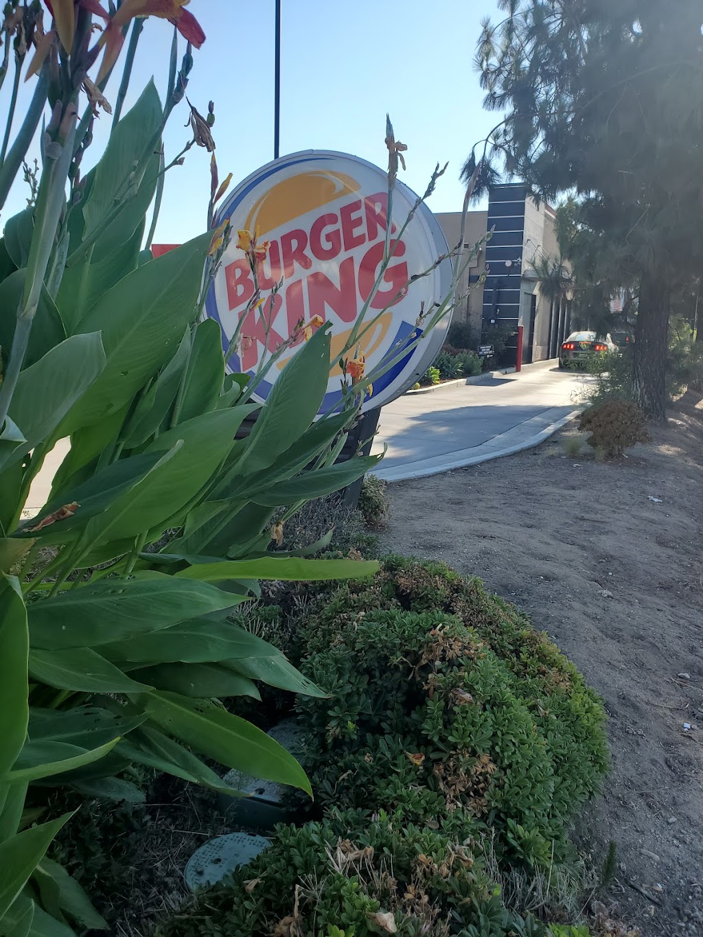 Burger King | 11546 Sherman Way, North Hollywood, CA 91605, USA | Phone: (818) 392-7903