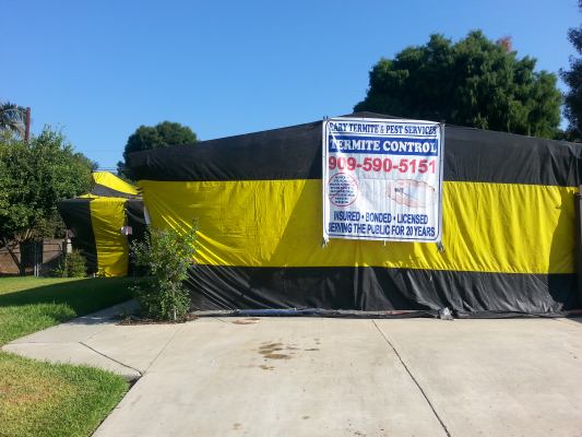 Eary Termite & Pest Service | 5120 Schaefer Ave D, Chino, CA 91710, USA | Phone: (909) 590-5151