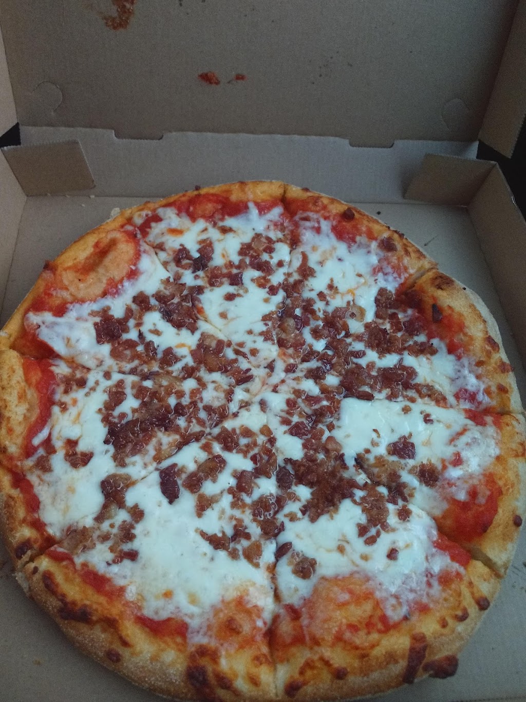 LADYS PIZZA | 34401 SW 188th Ave, Homestead, FL 33034, USA | Phone: (786) 261-5793