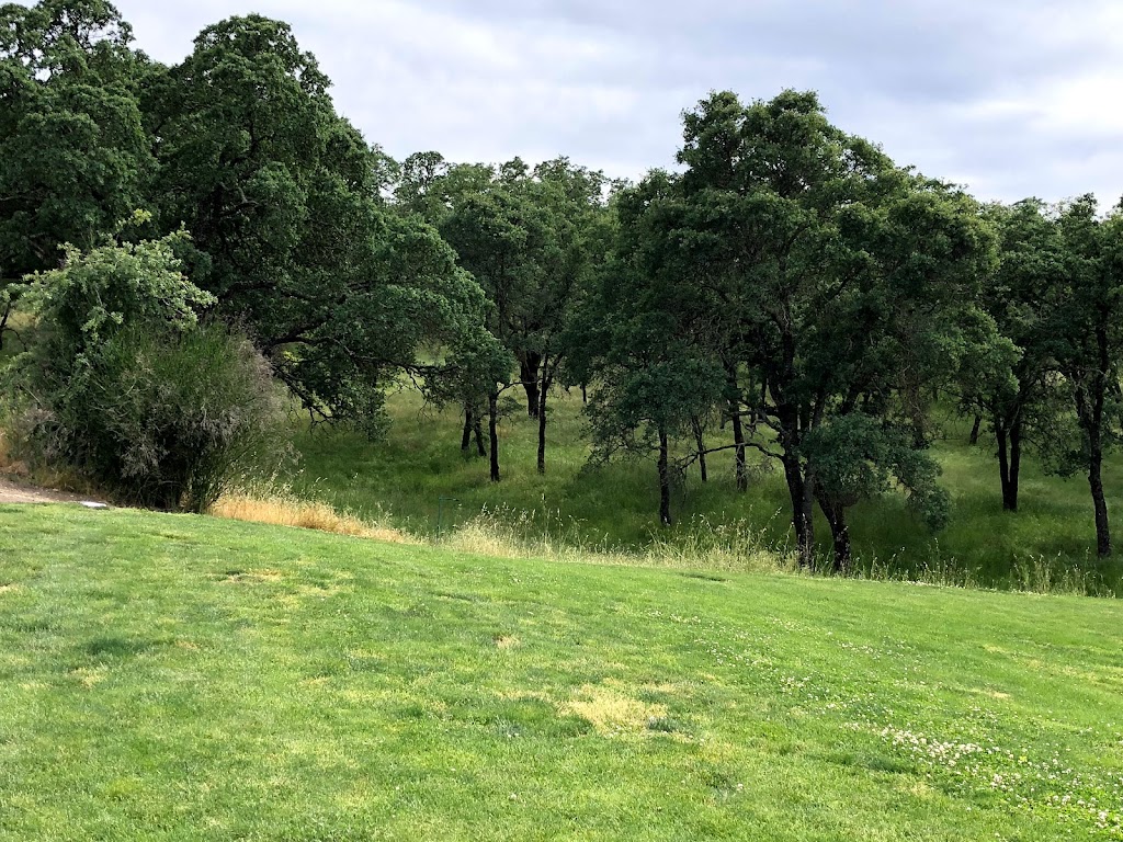 Nisenan Community Park | 700 Golf Links Dr, Folsom, CA 95630, USA | Phone: (916) 461-6601