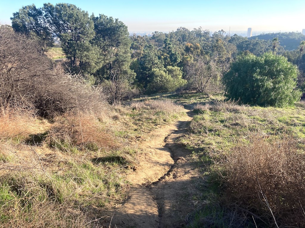 Frogtown Trail | Grand View Dr, Los Angeles, CA 90031, USA | Phone: (213) 847-0926