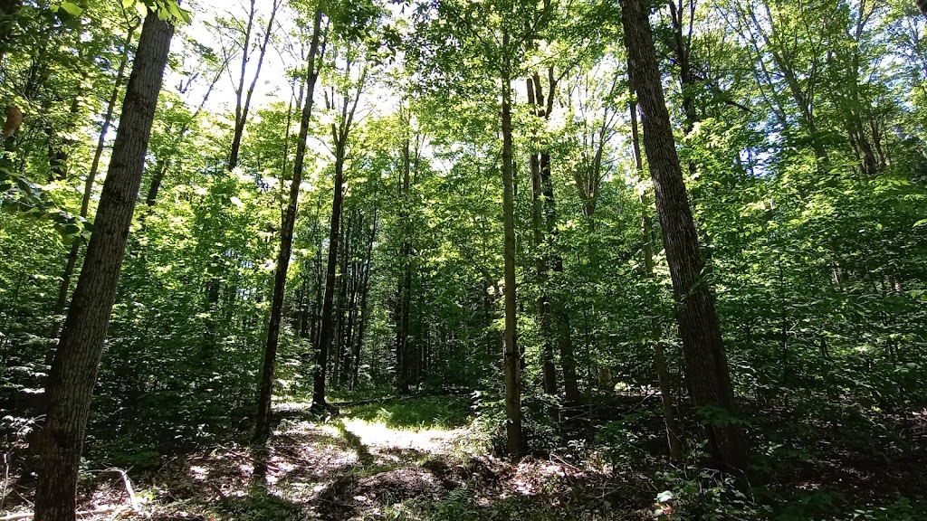 Potato Hill State Forest | Hyde Rd, Brooktondale, NY 14817 | Phone: (607) 753-3095