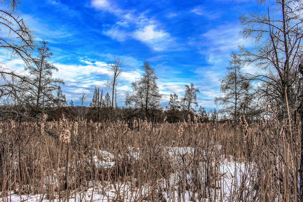 Goose Lake Drumlins State Natural Area | Marshall, WI 53559, USA | Phone: (888) 936-7463